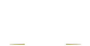DS Overkappingen Nederland Logo